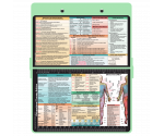 WhiteCoat Clipboard® - Mint Occupational Therapy Edition